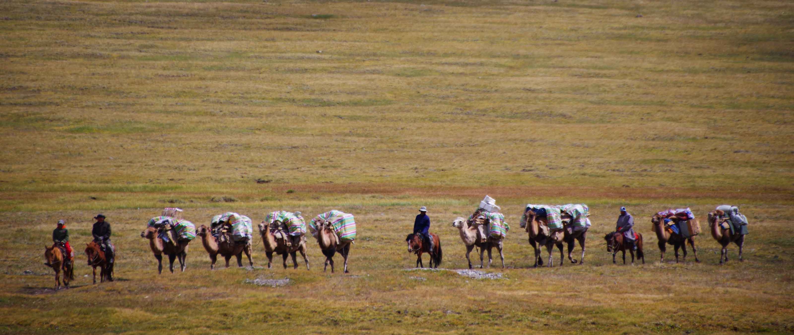 karawane-altai-mongolei-puretreks