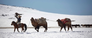 altsi-wintermigration-puretreks-trekking-mongolei