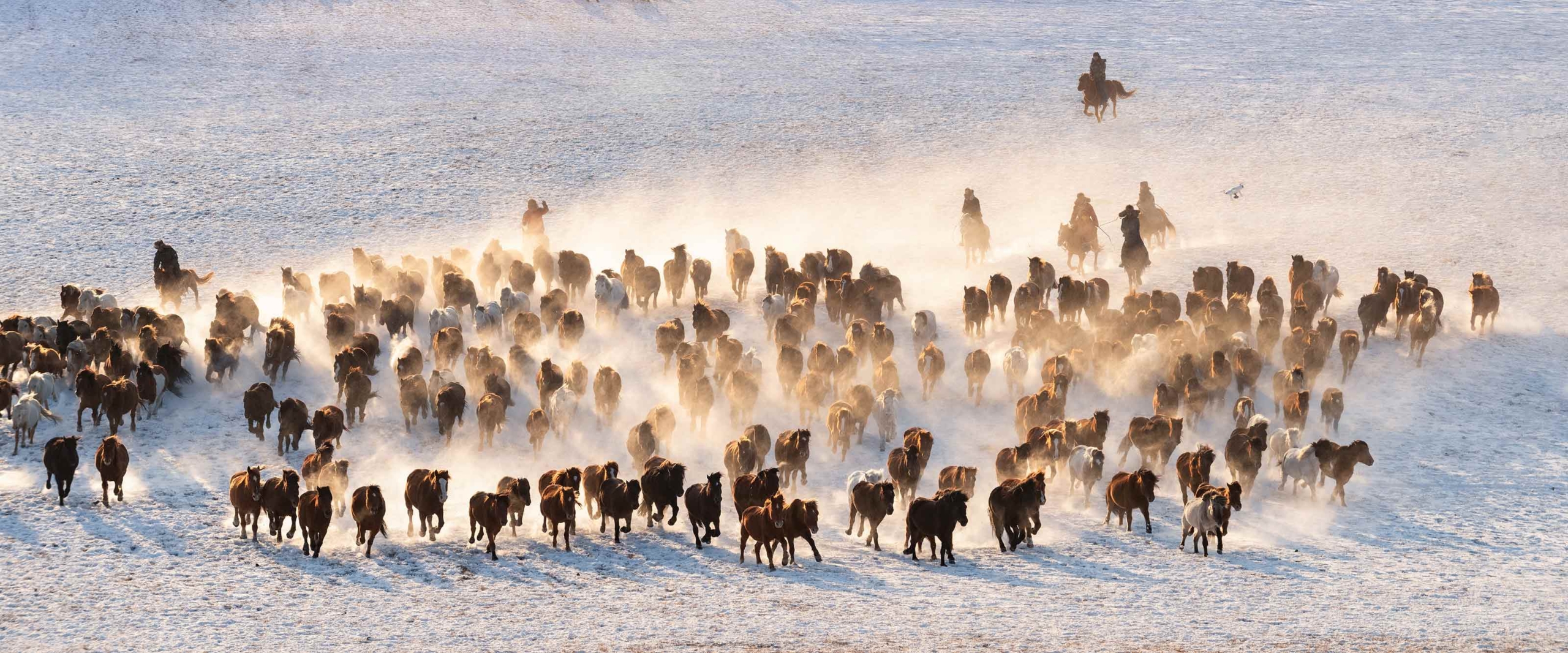 wanderreise-mongolei-altai-mit-nomaden