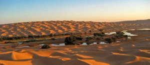 Wüstenkarawane im Grand Erg Oriental