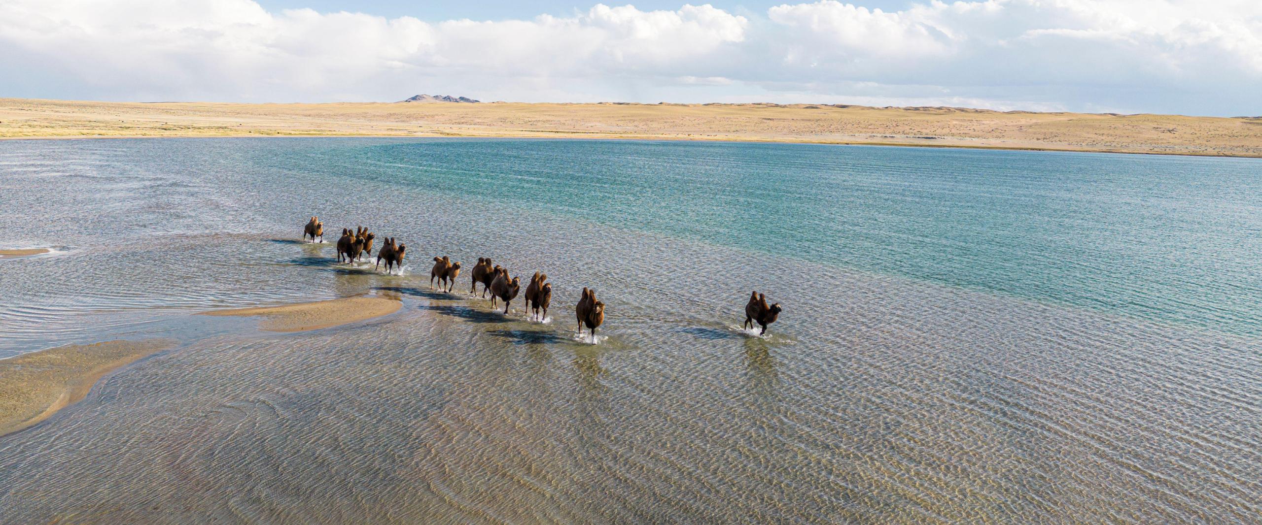 ulaagchin-khar-nuur-kemele-mongolei