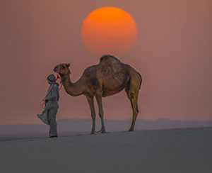 Beduine steht in der Wahiba Sands mit seinem Kamel vorm Sonnenuntergang