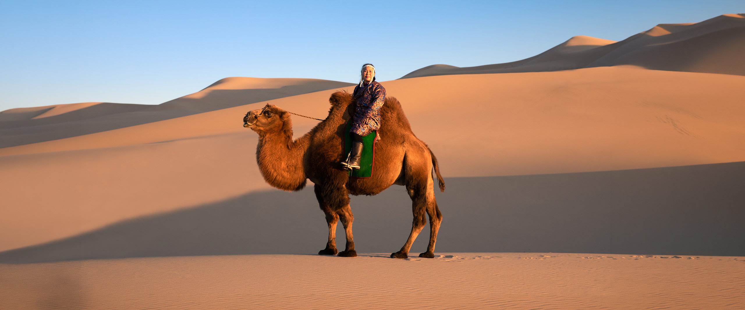 Mongolische Nomadin auf einem Kamel in der Wüste Gobi